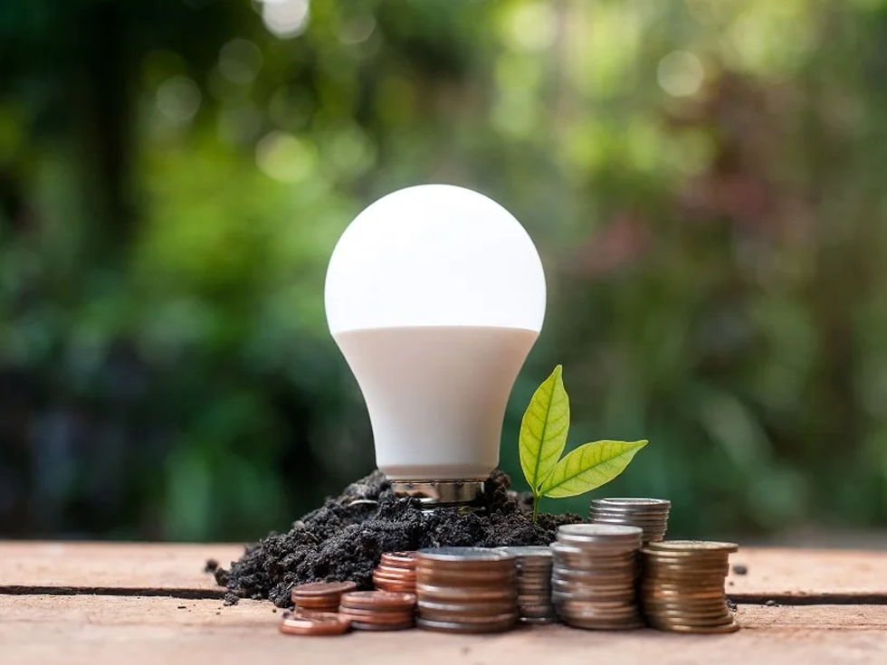 The Best Energy-Saving Light Bulbs for Your Home: Top Picks for 2025