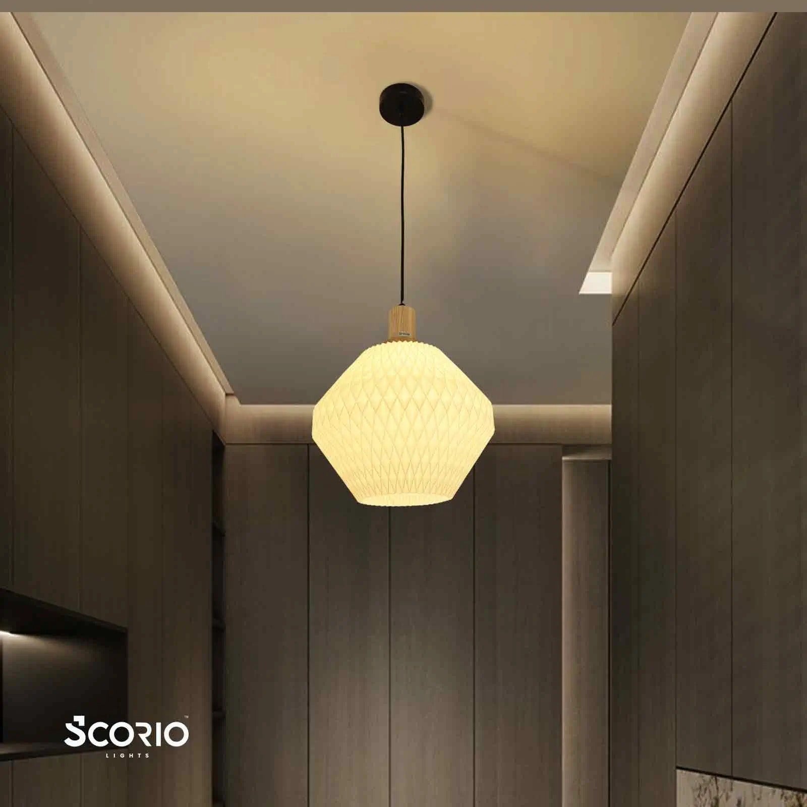 opulight-hanging-light-image