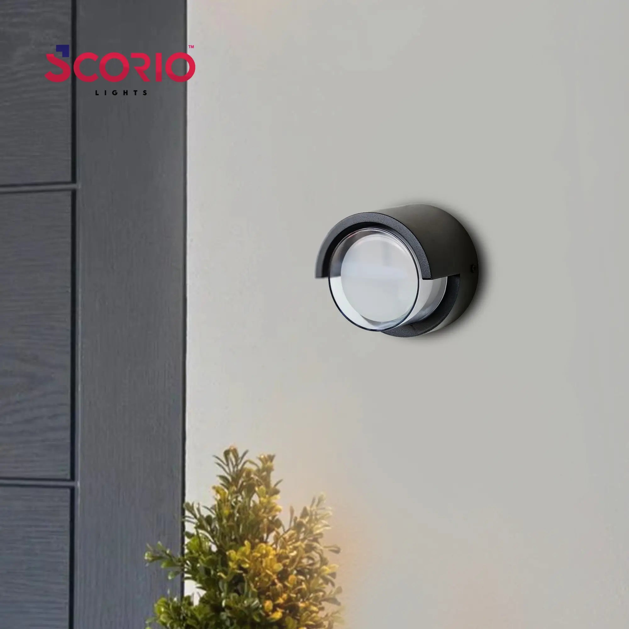 TwinArc Up and Down Wall Light