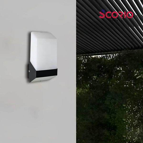 Shop RayFix Best Rated LED Outdoor Wall Lights for Houses Online ...